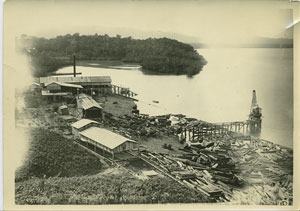 Sawmill 1920
