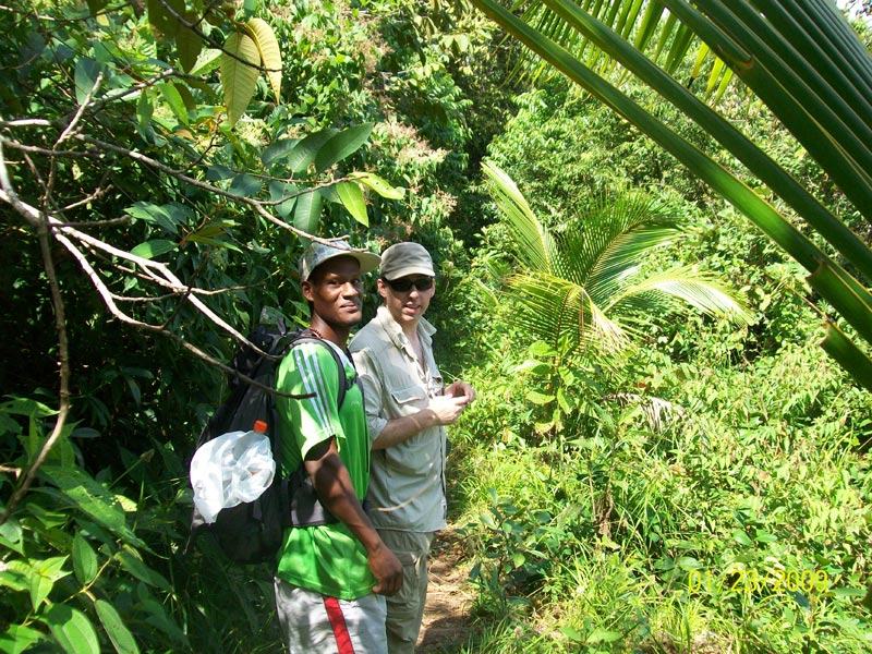Jungle