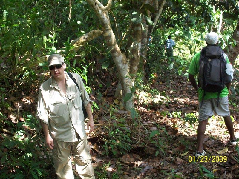 Jungle