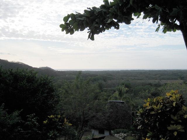 Costa Rica Jungle