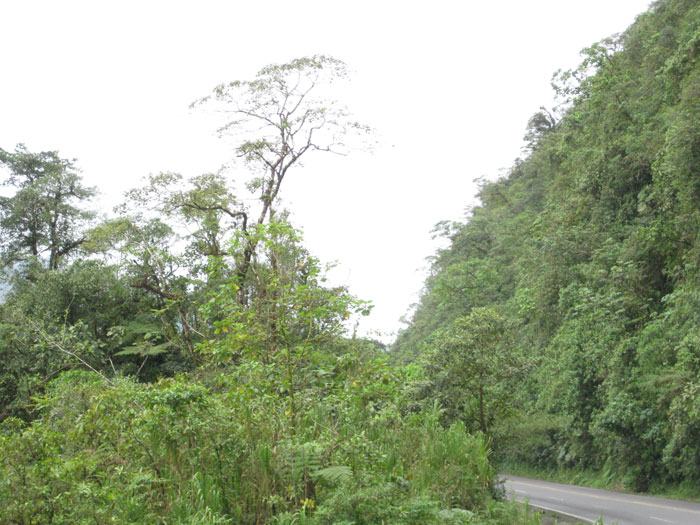 Costa Rica