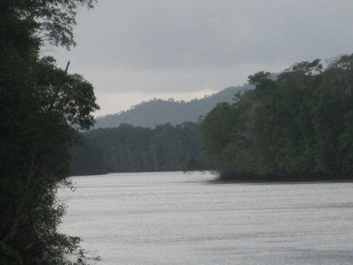 River Darien Panama