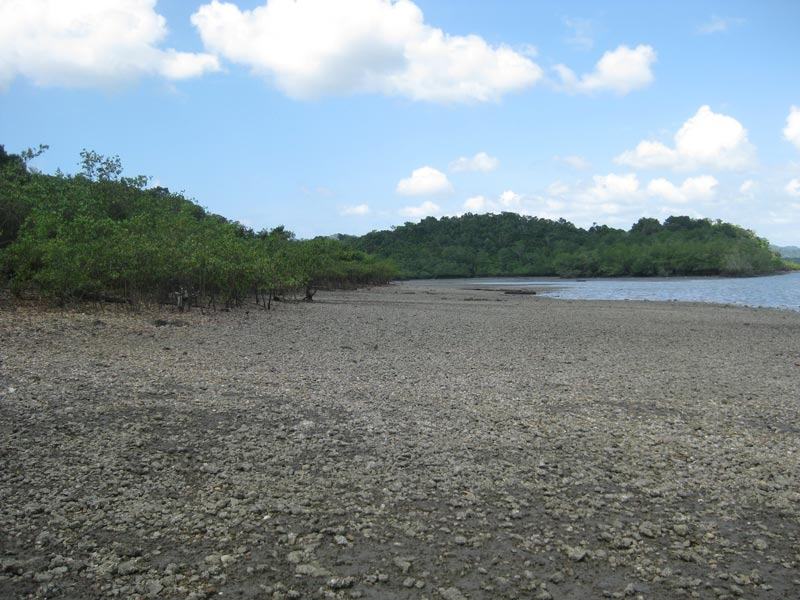 Where the sawmill once stood