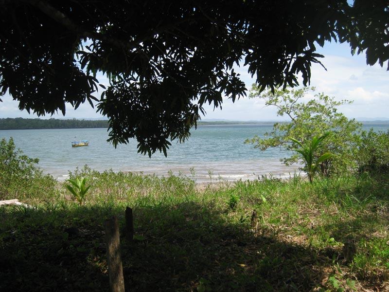 Site of the sawmill