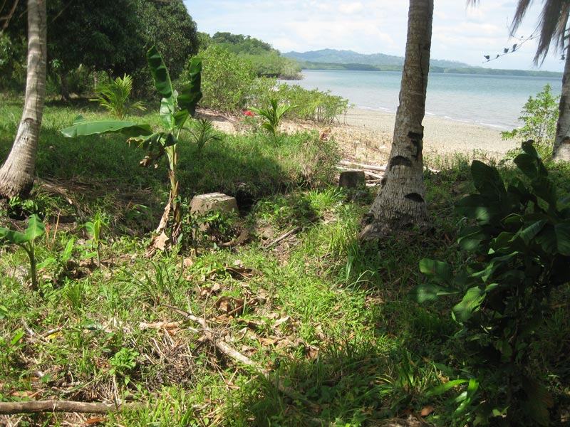Site of the sawmill