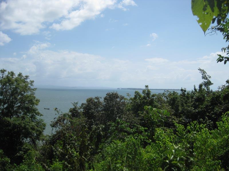 View of Gulf from Rio Congo