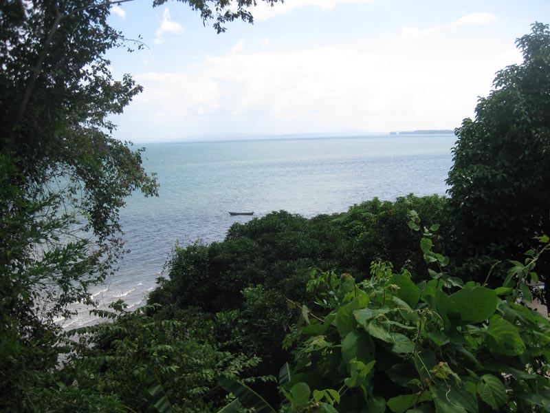 View of Gulf from Rio Congo