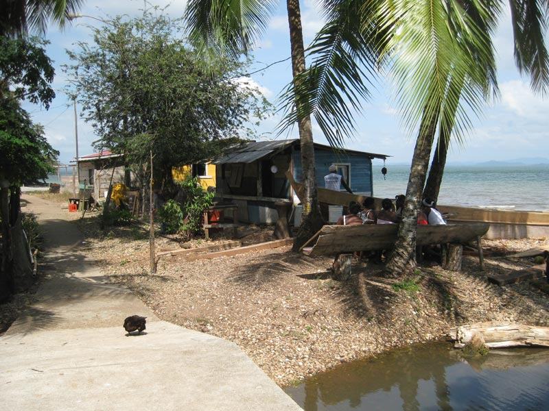 View of Rio Congo