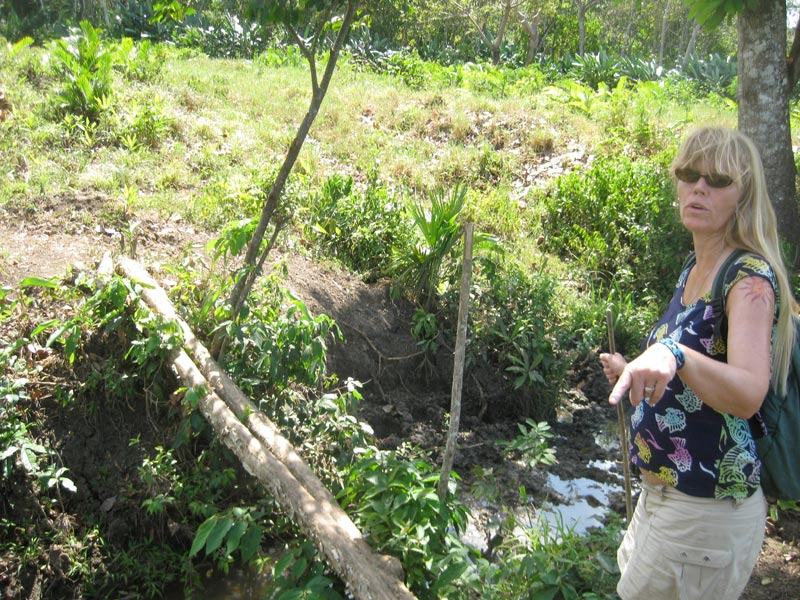 Photo from the trip