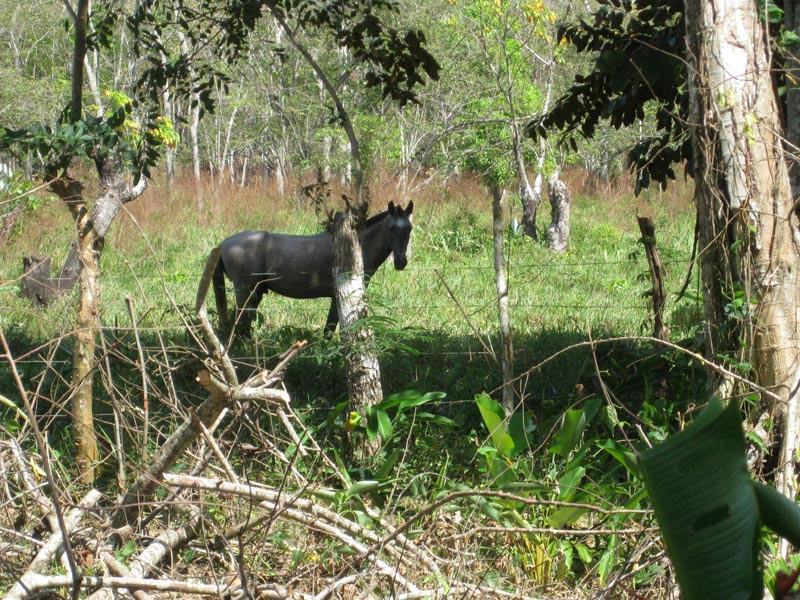 Photo from the trip