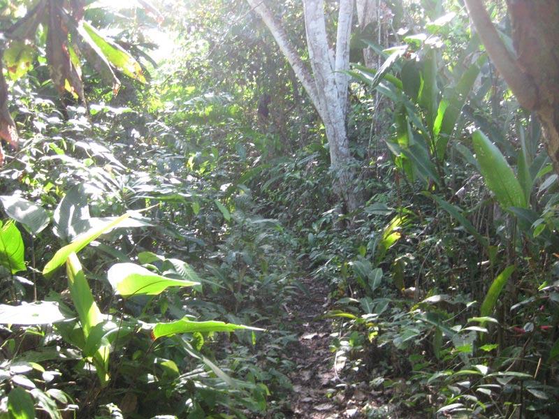 Photo from the trip